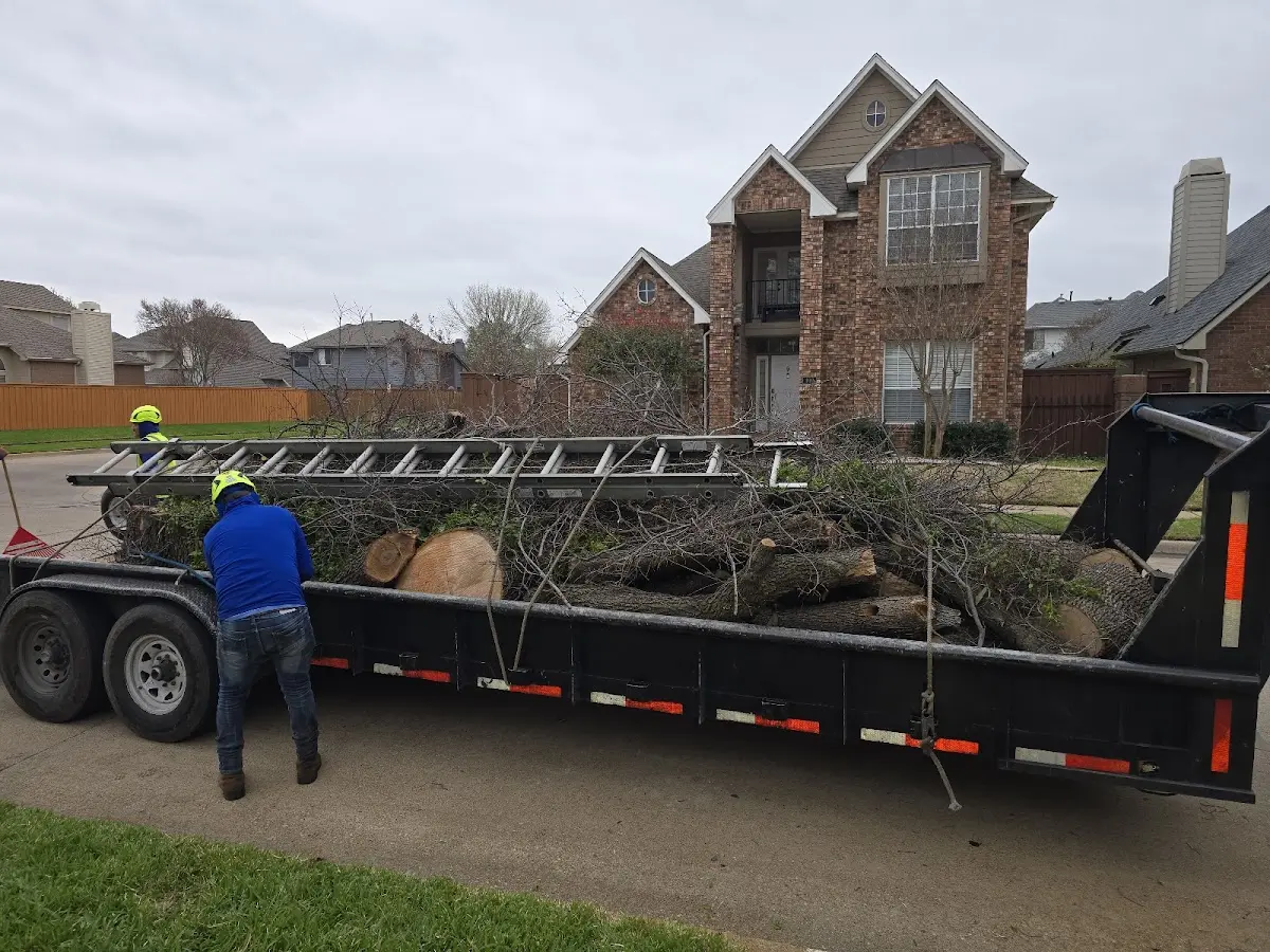 Expert Lot Clearing with proper safety equipment in Hiram